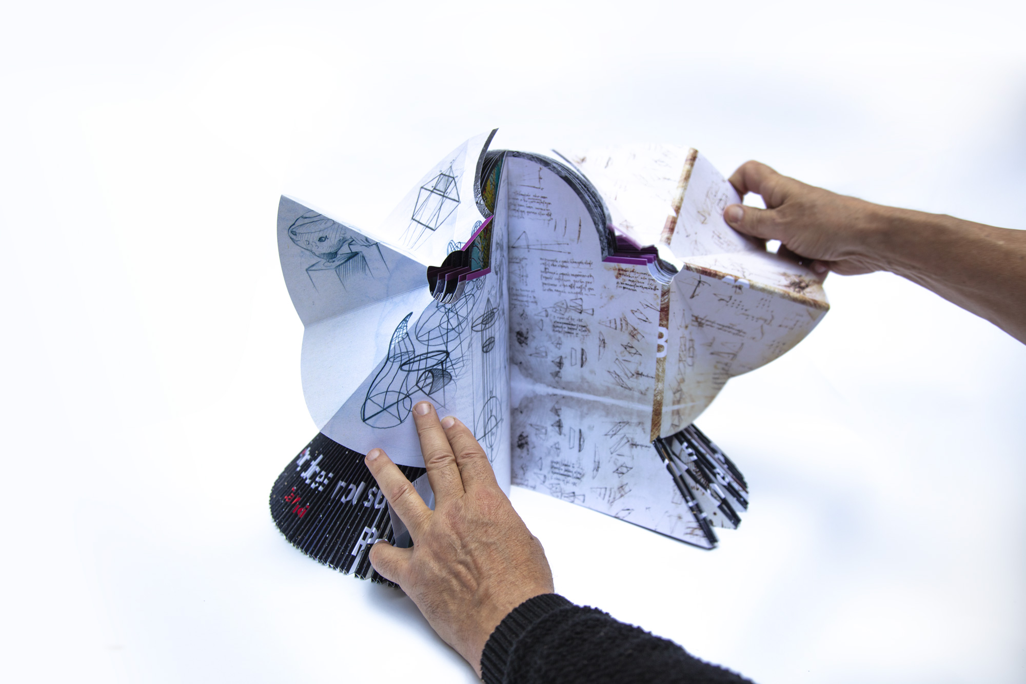 Leonardo da Vinci — Todiébook concept